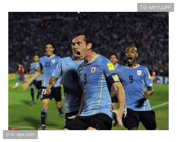 乌拉圭队阵型革新迎新挑战，战术调整成焦点